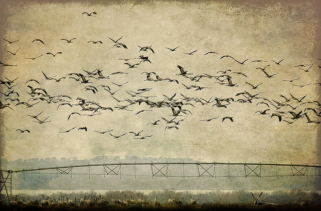 How Not to Botch Your Website Migration