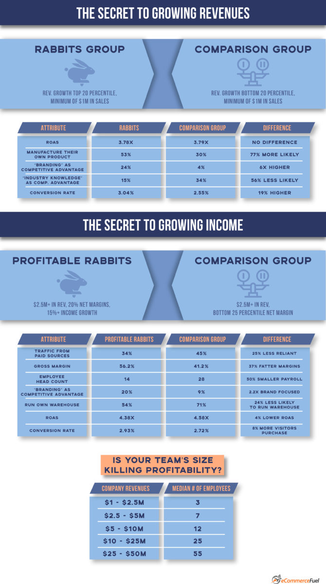 Growing eCommerce Revenues